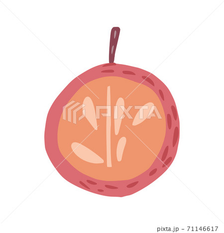 Half red apple with twig and without leaf isolated on white background. Apple with seeds hand drawn in doodle style. 71146617