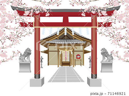 神社 鳥居 桜 参拝 のイラスト素材