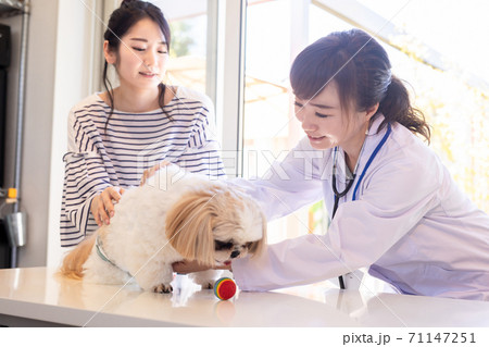 獣医さんと飼い主 71147251