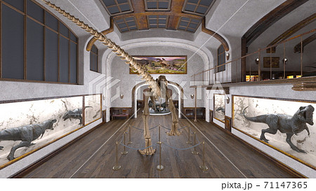 博物館 博物館 71147365