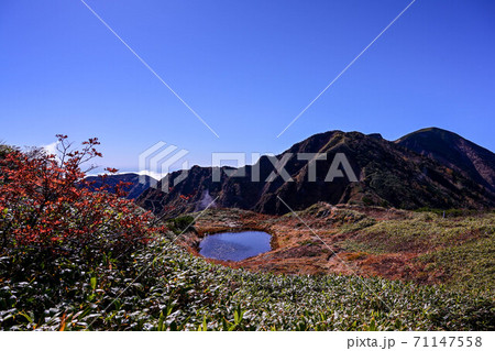 白山の紅葉 白山の紅葉 71147558