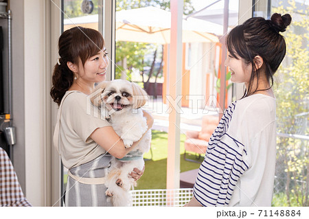 犬と女性 犬と女性 71148884