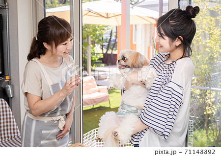 犬と女性 71148892
