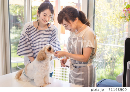 犬と女性 71148900