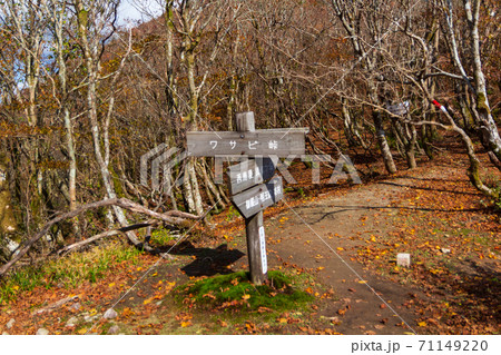 紅葉の武奈ヶ岳 登山道の標識 71149220