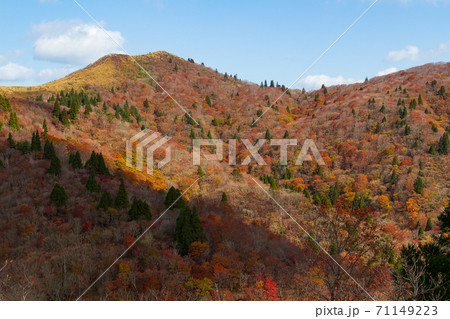 紅葉の武奈ヶ岳 登山道から山頂を望む 71149223