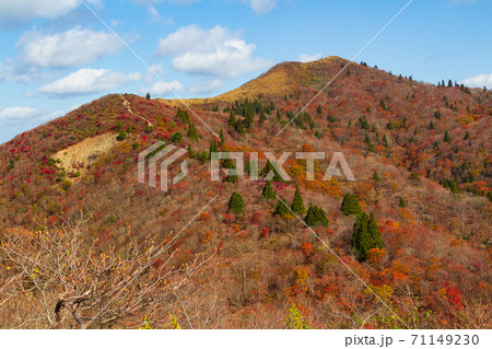 紅葉の武奈ヶ岳 登山道から山頂を望む 71149230