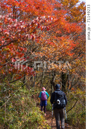 紅葉の武奈ヶ岳 登山風景 紅葉の武奈ヶ岳 登山風景 71149233