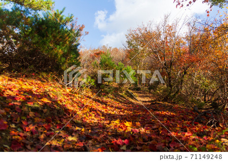 紅葉の武奈ヶ岳 登山道の風景 紅葉の武奈ヶ岳 登山道の風景 71149248
