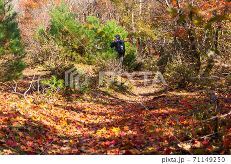 紅葉の武奈ヶ岳 登山風景 71149250