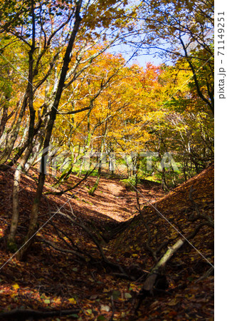 紅葉の武奈ヶ岳 登山道の風景 71149251