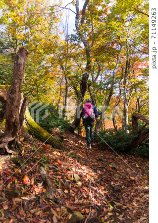 秋の武奈ヶ岳 登山風景 秋の武奈ヶ岳 登山風景 71149263