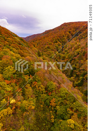 城ヶ倉大橋の紅葉 71149305
