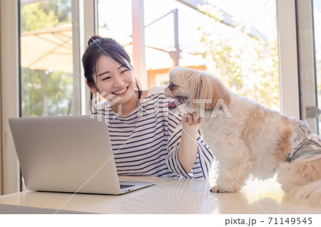 犬と一緒にノートパソコンを使う女性の写真素材