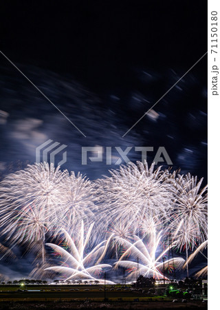 大曲の花火 秋の章の写真素材