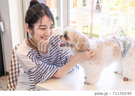 愛犬と遊ぶ女性 71150240