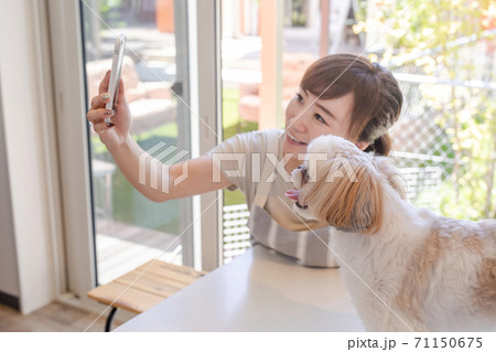 犬と自撮りする女性の写真素材