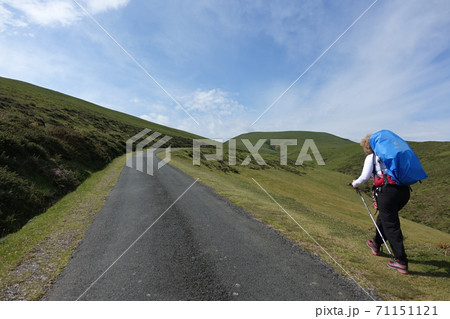 サンティアゴ・デ・コンポステラの巡礼道 サンティアゴ・デ・コンポステラの巡礼道 71151121