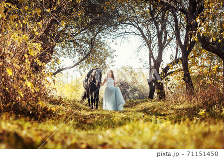 woman in white wedding dress walking with a horse in autumn park woman in white wedding dress walking with a horse in autumn park 71151450