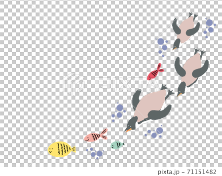 企鵝和魚一起游泳 71151482