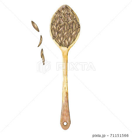 Watercolor cumin in bamboo spoon. 71151566