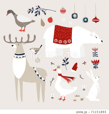 Set of cute Christmas animals, birds and decoratione icons. Polar bear, deer and goose birds with white rabbit. Christmas ornaments with holly, fruit and flowers. Vintage flat design. Isolated vectors 71151893