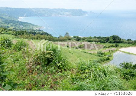 少なくなった棚田と日本海の景色 71153626
