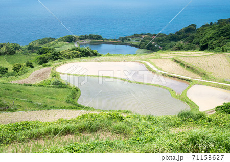 少なくなった棚田と日本海の景色 71153627