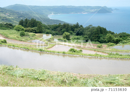少なくなった棚田と日本海の景色 71153630