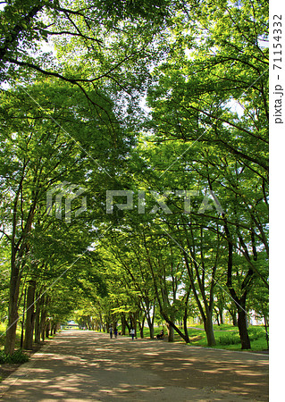 【町田市】鶴間公園 【町田市】鶴間公園 71154332
