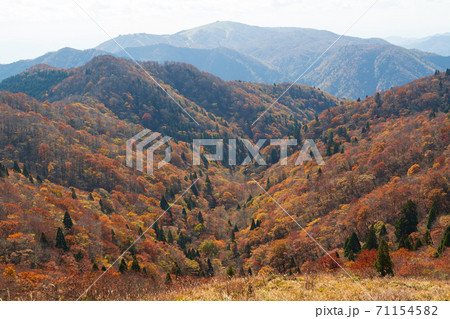 紅葉の武奈ヶ岳 登山道からの眺め(遠くにびわ湖バレイを望む) 71154582