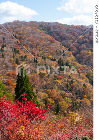 紅葉の武奈ヶ岳 登山道の風景 71154595