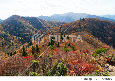 紅葉の武奈ヶ岳 登山道からの眺め 紅葉の武奈ヶ岳 登山道からの眺め 71154605