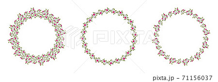 Set of floral isolated vector wreaths, branches with leaves and bright magenta flowers on white 71156037