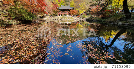 白羊寺 秋 紅葉 71158099