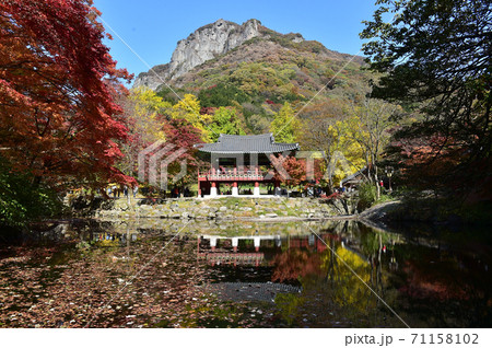 サンギェル 白羊寺 精子 71158102