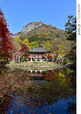 白羊寺 秋 紅葉 71158104