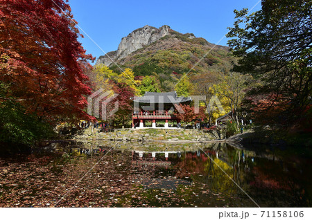 サンギェル 白羊寺 精子 71158106