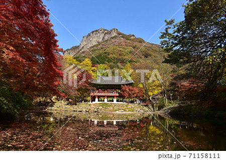 白羊寺 秋 紅葉 71158111