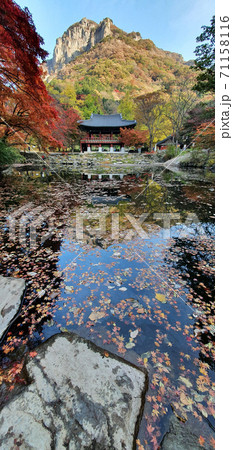 白羊寺 秋 紅葉 71158116