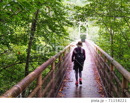 山の中の橋を渡る40代女性の後ろ姿 女ひとりトレッキング 山の中の橋を渡る40代女性の後ろ姿 女ひとりトレッキング 71158221