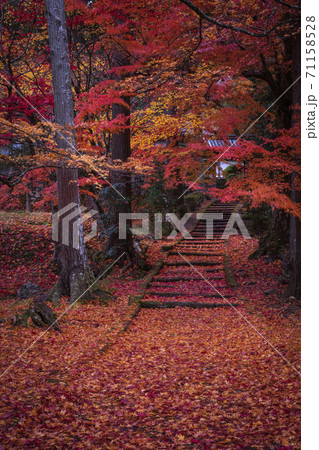 京都府 龍穏寺 紅葉 京都府 龍穏寺 紅葉 71158528