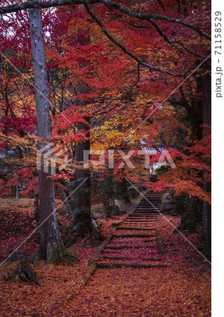 京都府 龍穏寺 紅葉 京都府 龍穏寺 紅葉 71158529