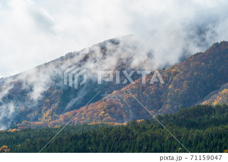雨上がりの七ヶ宿　紅葉　宮城県七ヶ宿町 71159047