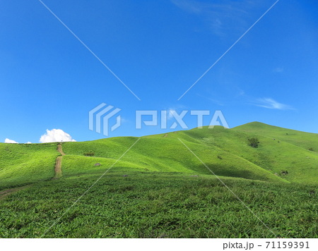 Windows Xpの壁紙 草原に似ている草原地帯の写真素材