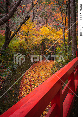 京都府 神蔵寺 紅葉 71159808