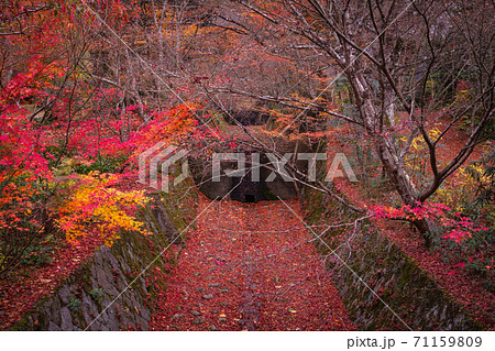 京都府 神蔵寺 紅葉 71159809