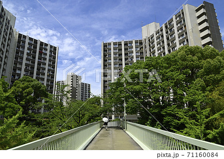 千里ニュータウン竹見台（大阪府吹田市）のUR千里竹見台団地 71160084
