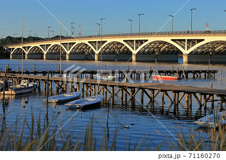 手賀沼の桟橋 手賀沼の桟橋 71160270