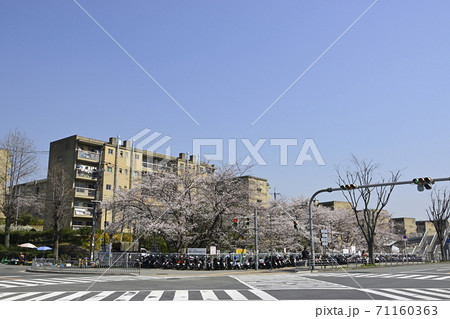 千里ニュータウン藤白台(大阪府吹田市)の府公社藤白台B団地・千里丘陵G団地 千里ニュータウン藤白台(大阪府吹田市)の府公社藤白台B団地・千里丘陵G団地 71160363